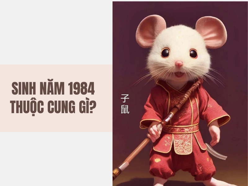 Tuổi Giáp Tý 1984 Mệnh Gì? Hợp Với Tuổi Gì, Hợp Màu Gì?