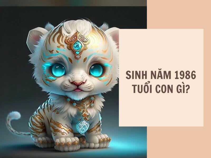 Tuổi Bính Dần 1986 Mệnh Gì? Hợp Với Tuổi Gì, Hợp Màu Gì?