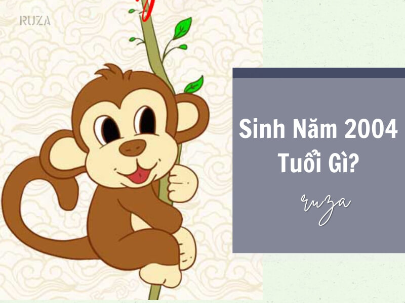 Tuổi Giáp Thân 2004 Mệnh Gì? Hợp Với Tuổi Gì, Hợp Màu Gì?