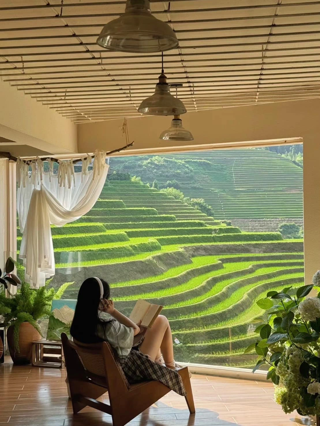 Sự thật bức ảnh "ruộng lúa Sa Pa view triệu đô" gây sốt mạng