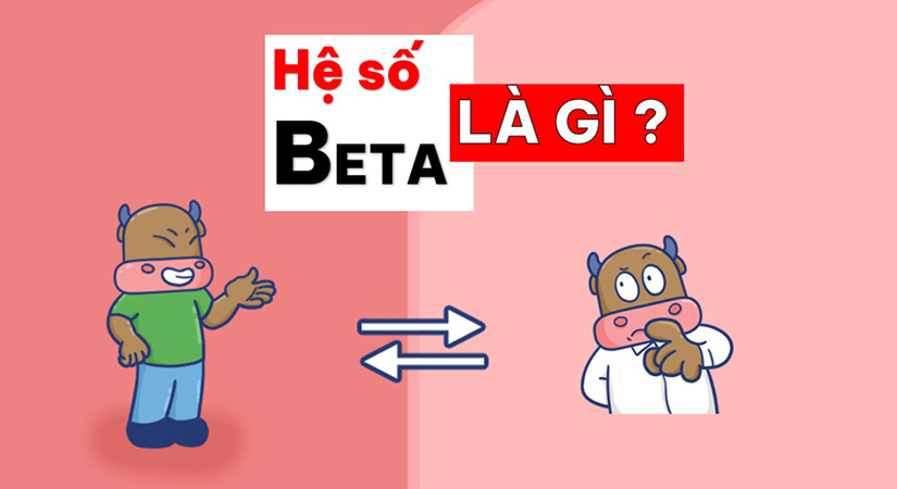 Hệ số Beta là gì? Ý nghĩa của hệ số Beta trong chứng khoán