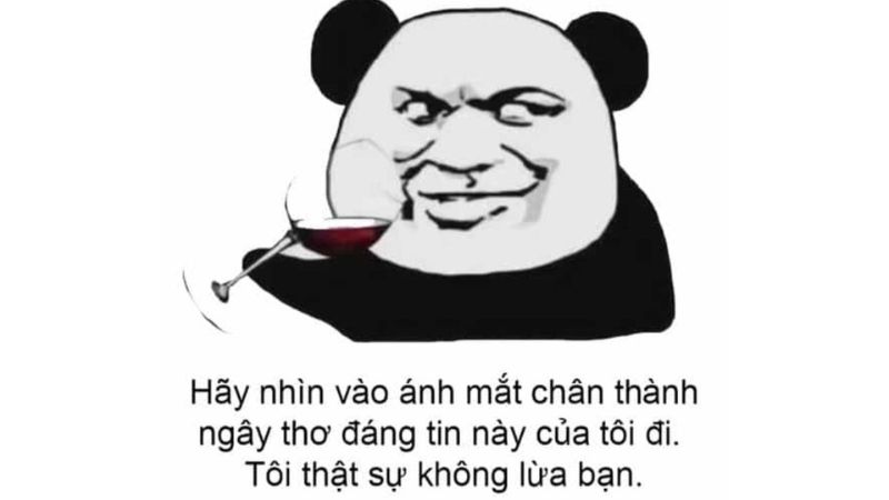 99+ Ảnh troll bạn bè cực hài hước và độc đáo nhất