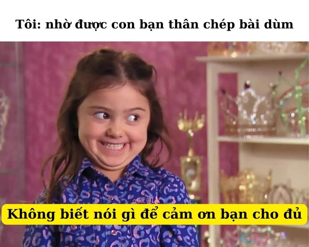 Bộ sưu tập 99+ ảnh meme cảm ơn hài hước, bao lầy lội