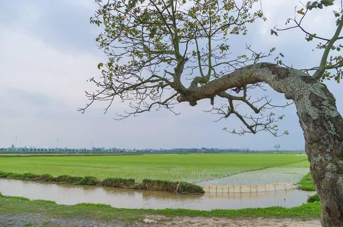 Những khoảnh khắc tĩnh lặng đẹp nhất