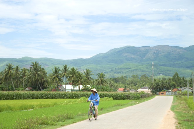 Những khoảnh khắc tĩnh lặng đẹp nhất