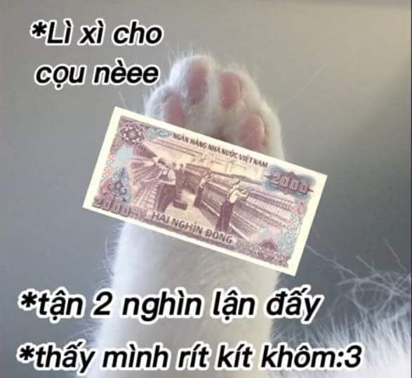 Khám phá thế giới hài hước của tiền qua những hình ảnh meme độc đáo