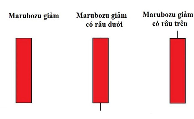 Nến Marubozu là gì? Đặc điểm và chiến lược giao dịch hiệu quả với nến Marubozu