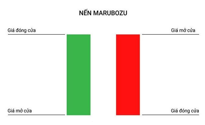 Nến Marubozu là gì? Đặc điểm và chiến lược giao dịch hiệu quả với nến Marubozu