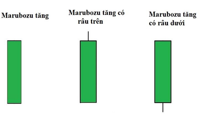 Nến Marubozu là gì? Đặc điểm và chiến lược giao dịch hiệu quả với nến Marubozu