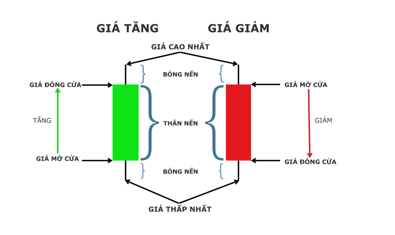 Tìm hiểu về các đồ thị cơ bản và biểu đồ nến