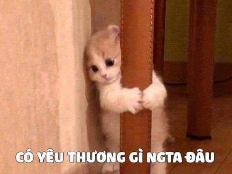 Tổng hợp meme tình yêu cute, dễ thương cho các cặp đôi