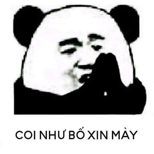 Đồng hành cùng bộ sưu tập meme gấu trúc Weibo hài bá đạo