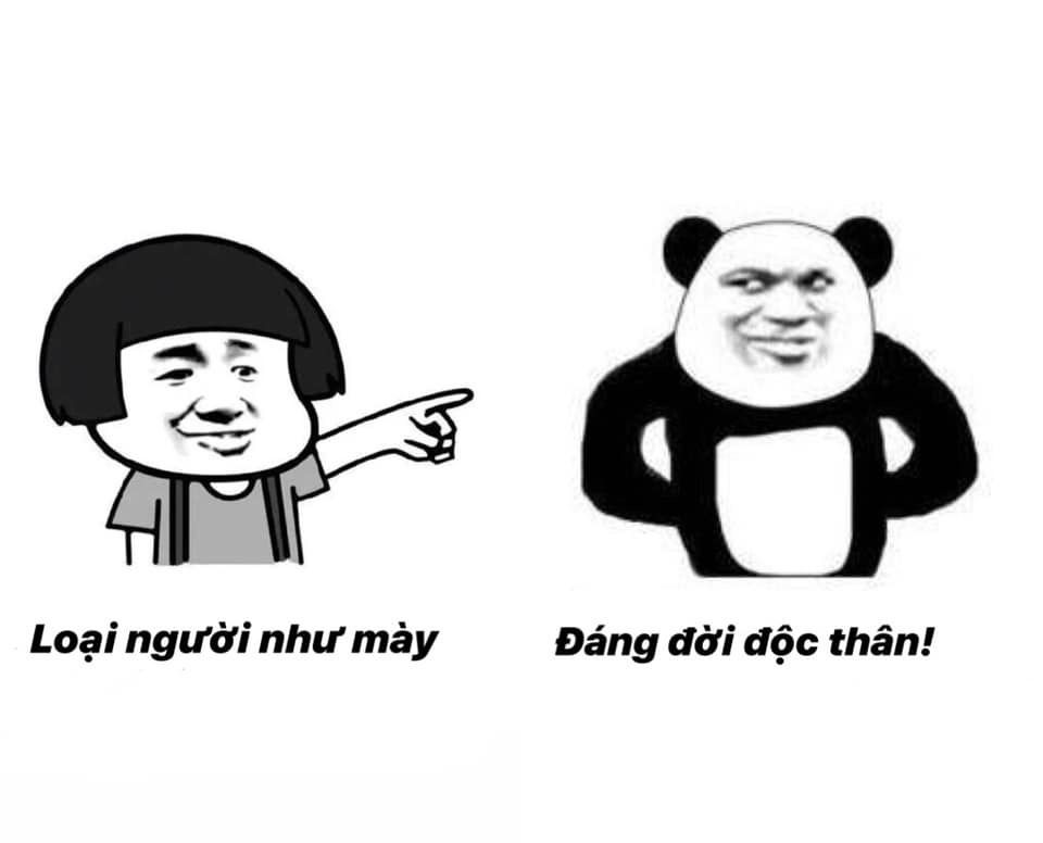 Tổng hợp meme gấu trúc weibo hài hước, độc, bá đạo