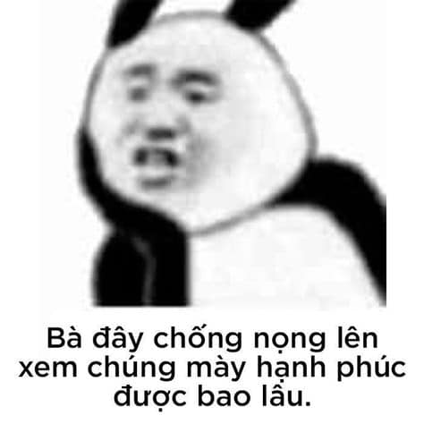 Tổng hợp meme gấu trúc weibo hài hước, độc, bá đạo