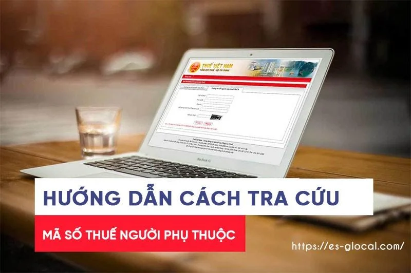 Tra cứu mã số thuế là gì? Cẩm nang cách tra MST cá nhân, công ty