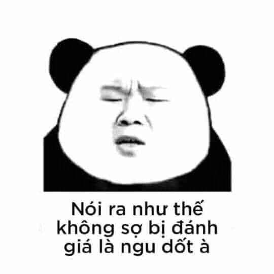 Tổng hợp meme gấu trúc weibo hài hước, độc, bá đạo