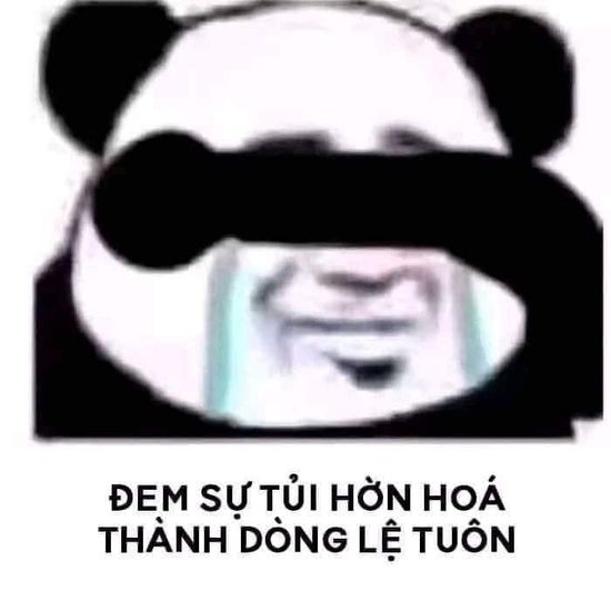 Tổng hợp meme gấu trúc weibo hài hước, độc, bá đạo