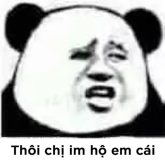 Tổng hợp meme gấu trúc weibo hài hước, độc, bá đạo