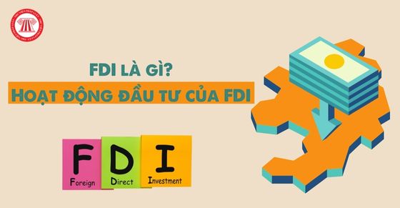 FDI là gì? Hoạt động đầu tư của FDI