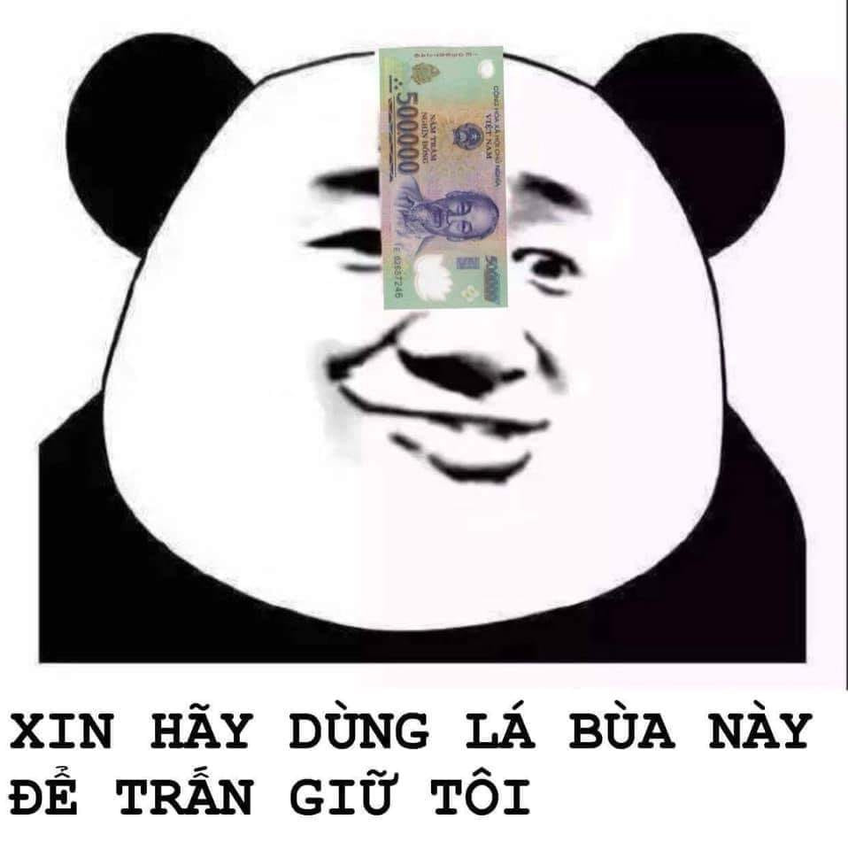 Tổng hợp meme gấu trúc weibo hài hước, độc, bá đạo