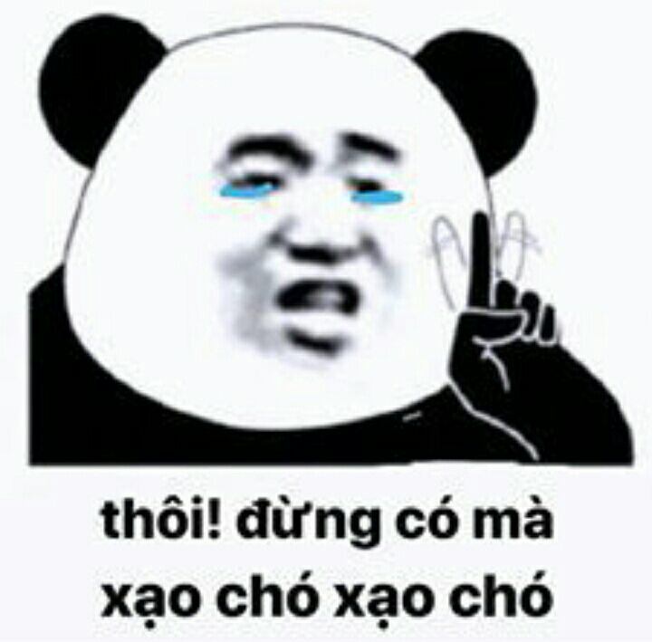 Tổng hợp meme gấu trúc weibo hài hước, độc, bá đạo