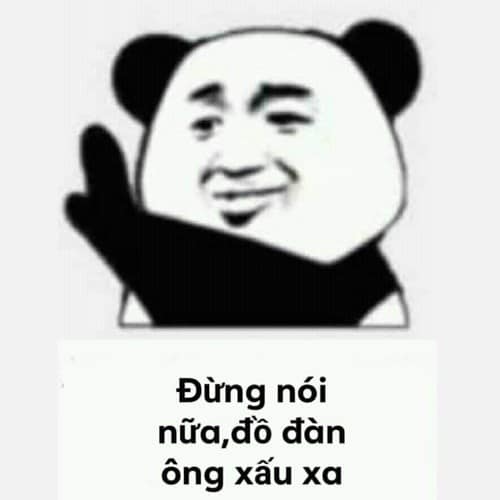 Tổng hợp meme gấu trúc weibo hài hước, độc, bá đạo