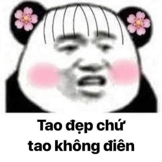 Tổng hợp meme gấu trúc weibo hài hước, độc, bá đạo