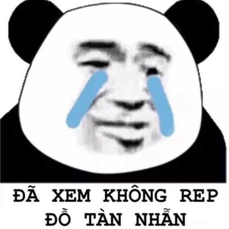 Sưu tầm bộ meme gấu trúc weibo cực vui nhộn, hài hước