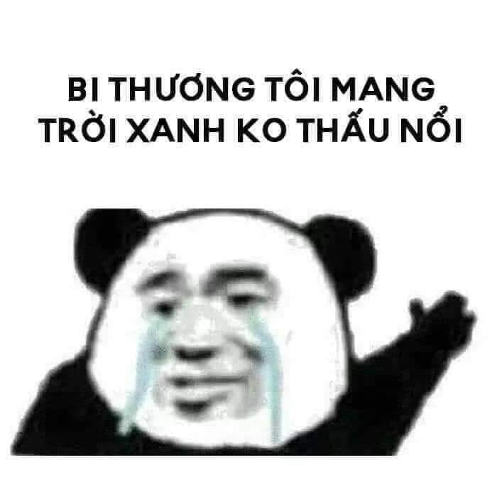 100+ hình gấu trúc meme hài, bựa hot nhất, lưu ngay về máy