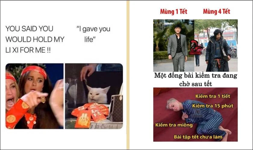 Sưu tầm 50+ mẫu meme Tết độc đáo cho Tết 2024