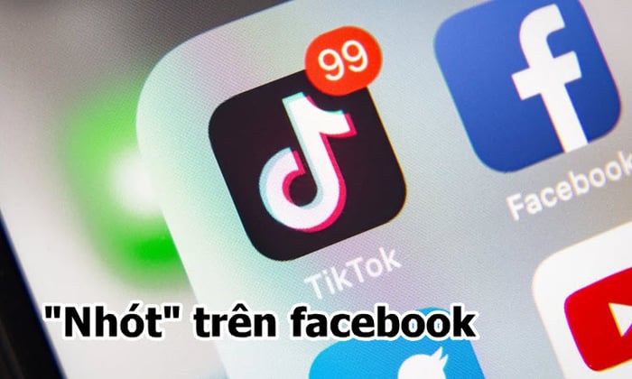 Nhót là gì? Bí ẩn và ý nghĩa sâu xa của “nhót” trên TikTok, Facebook