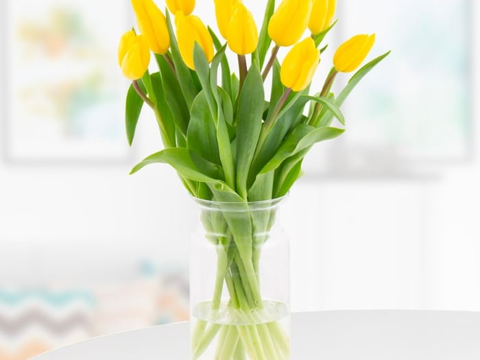 Ý Nghĩa Đặc Biệt của Hoa Tulip Theo Màu Sắc và Số Lượng Trong Việc Tặng Quà