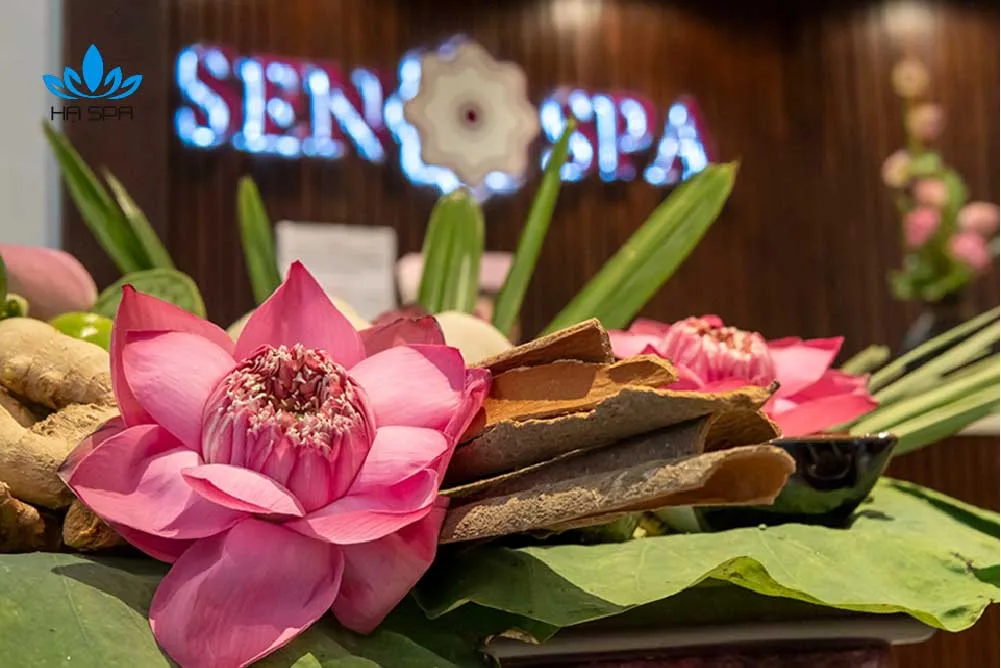 TOP 26 địa chỉ Spa gần đây tại Sài Gòn nổi tiếng về làm đẹp được yêu thích nhất