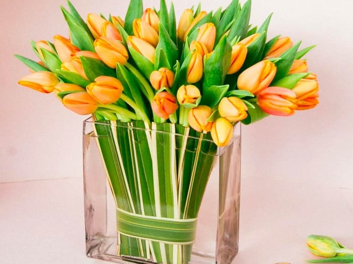 Ý Nghĩa Đặc Biệt của Hoa Tulip Theo Màu Sắc và Số Lượng Trong Việc Tặng Quà