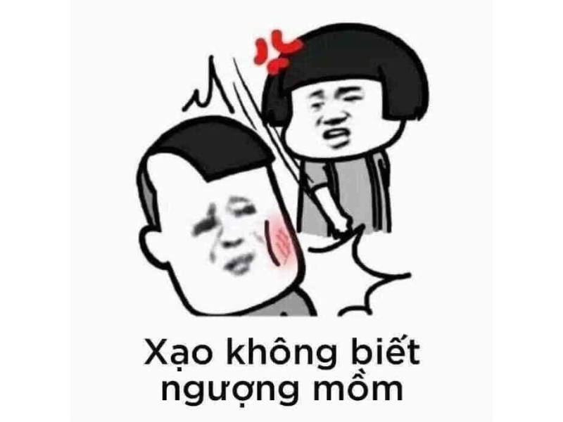 Ảnh meme đánh nhau, meme mèo đánh nhau troll bạn bè