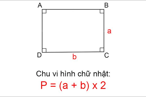 Hình Chữ Nhật Là Gì? Tính Chất, Định Nghĩa & Dấu Hiệu Nhận Biết