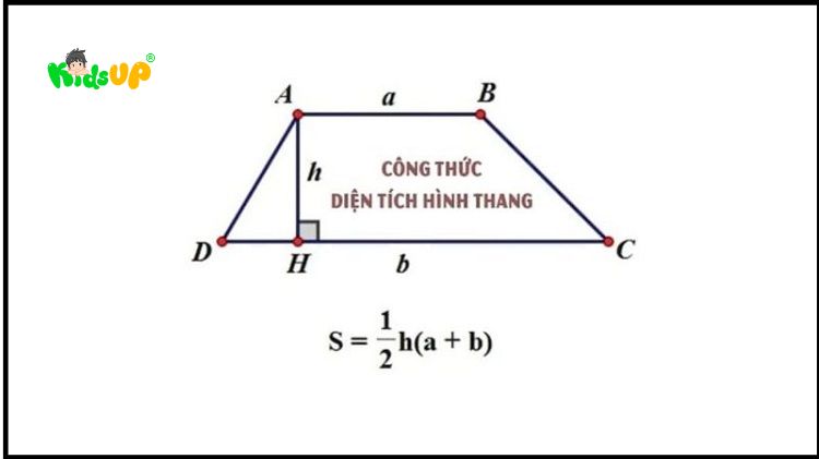 Tính chất, công thức tính chu vi và diện tích hình tứ giác lớp 2 chi tiết