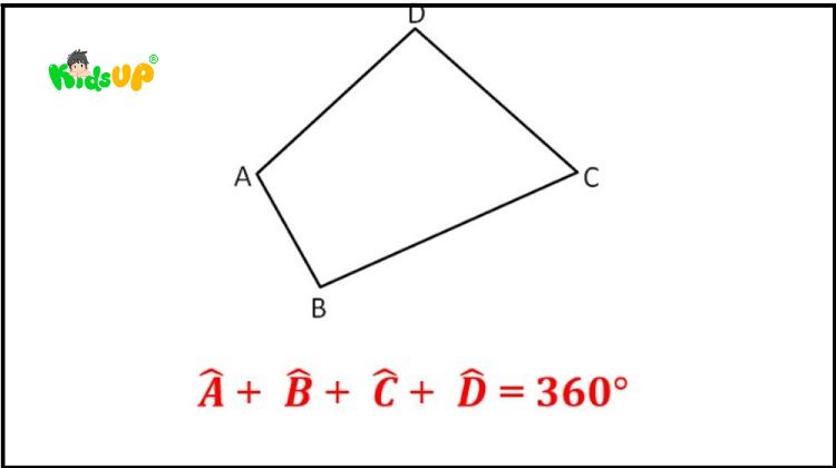 Tính chất, công thức tính chu vi và diện tích hình tứ giác lớp 2 chi tiết