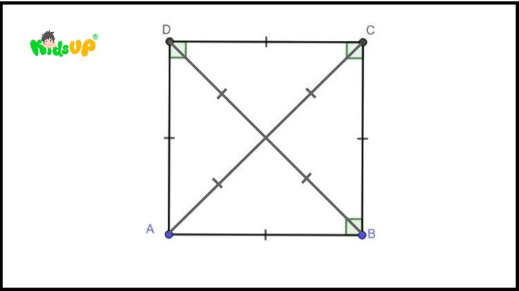 Tính chất, công thức tính chu vi và diện tích hình tứ giác lớp 2 chi tiết