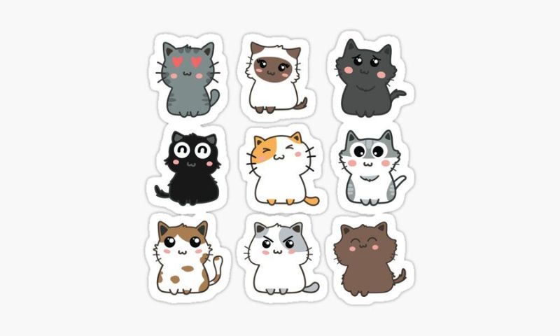 20 Mẫu sticker mèo cute dễ thương được yêu thích 2024